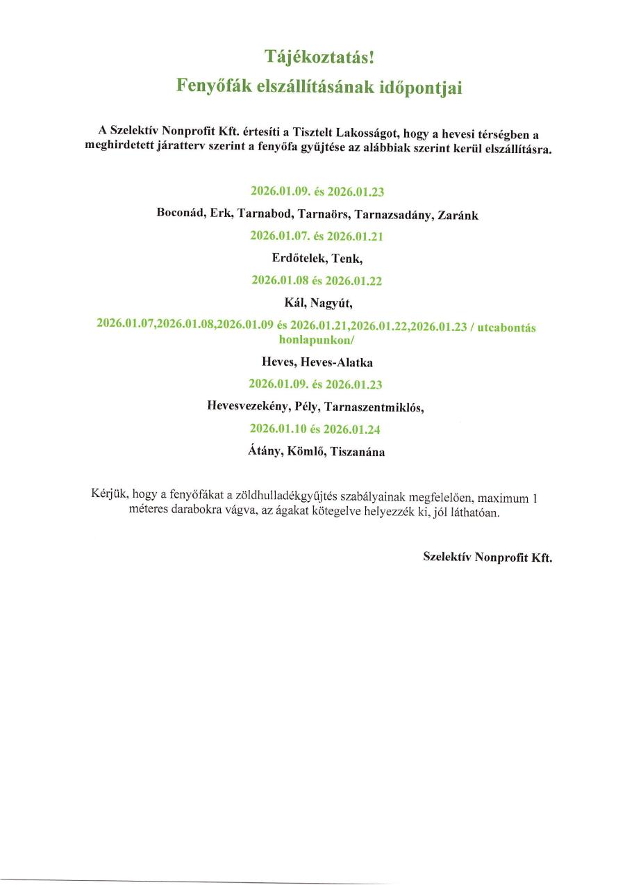 2026_januar_fenyofa_elszallitas.jpg