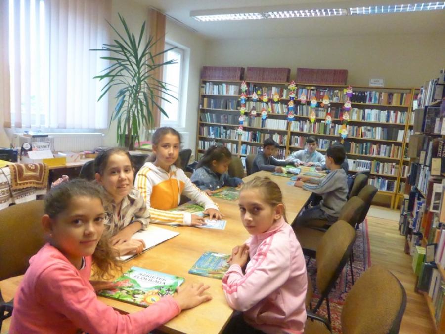 pv_papircsodak_2017.10.05_11.jpg